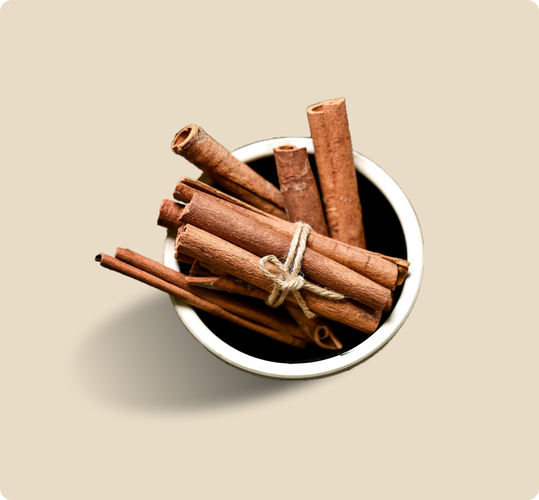 Biotrade Cinnamon Product