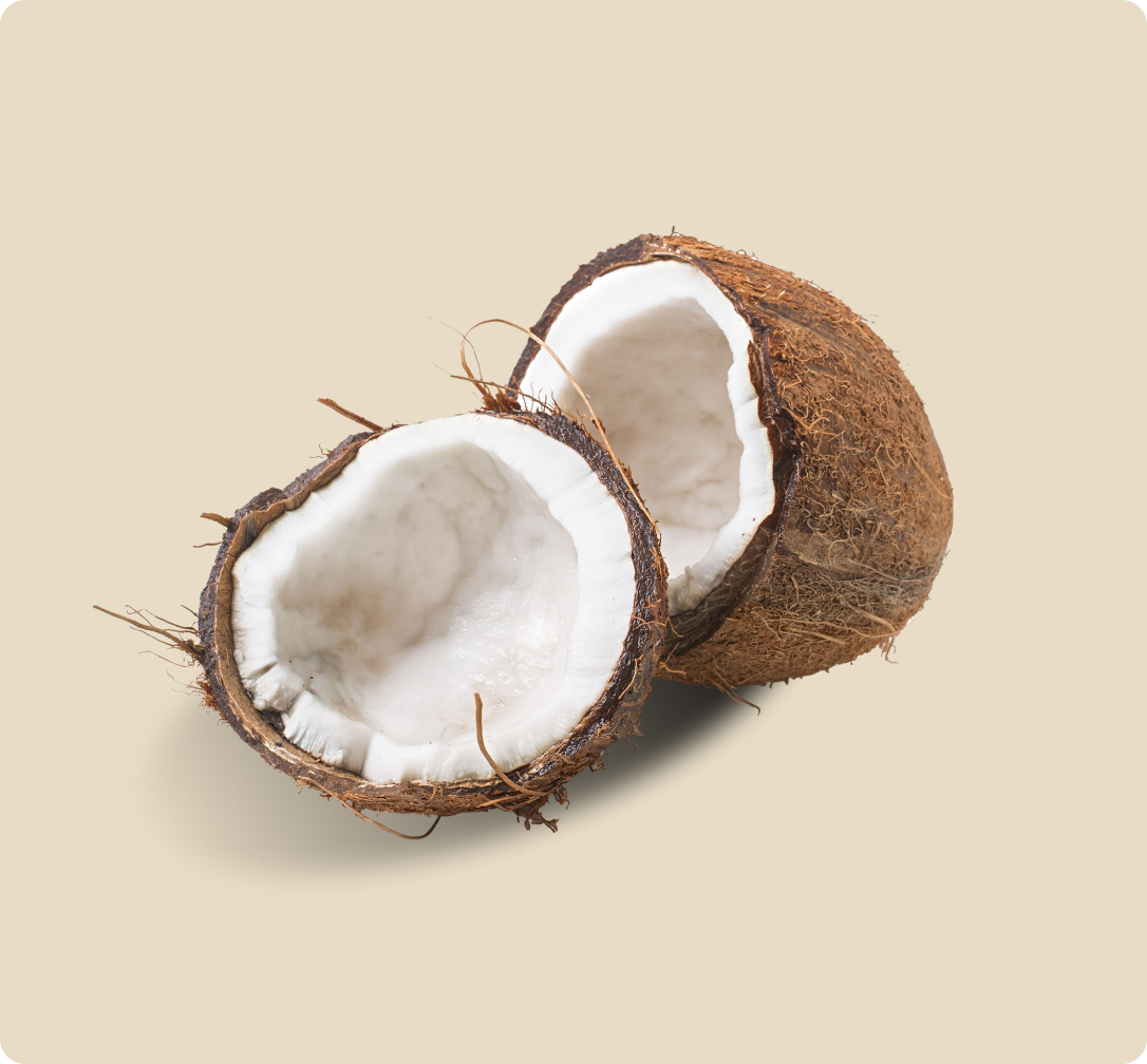 Biotrade Coconut