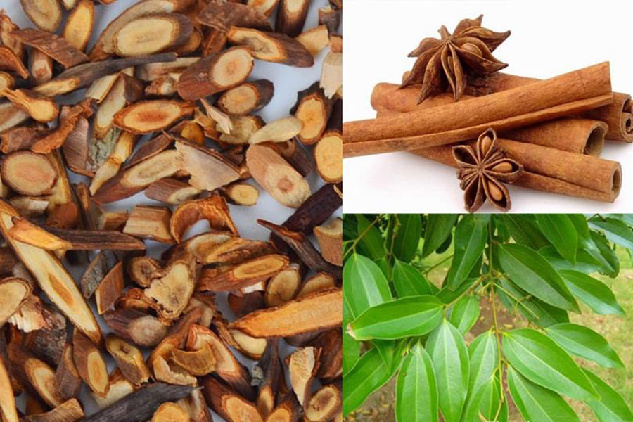 Enhance Export Quality Of Sustainable Cinnamon To International Markets