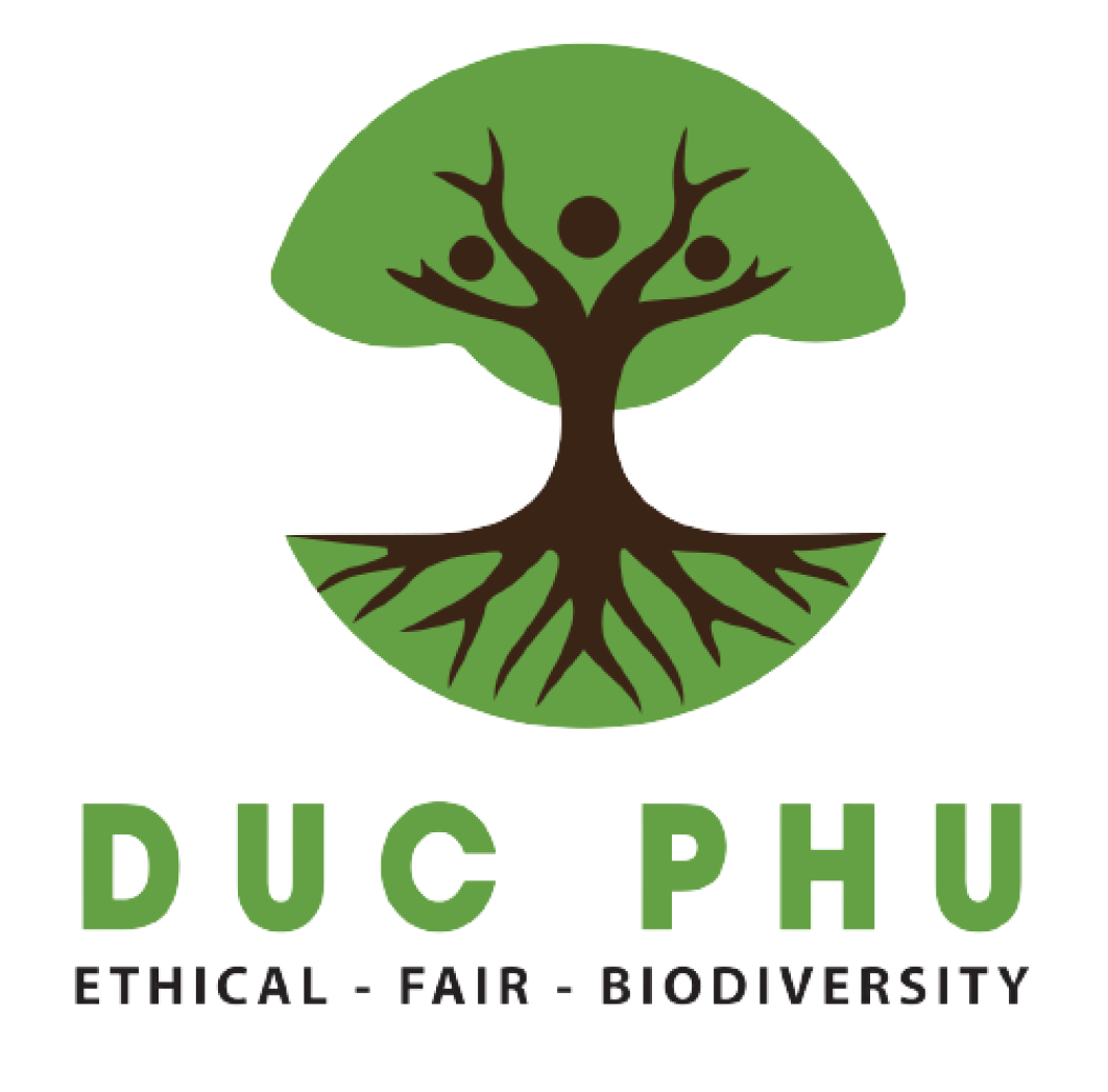 Duc Phu Logo
