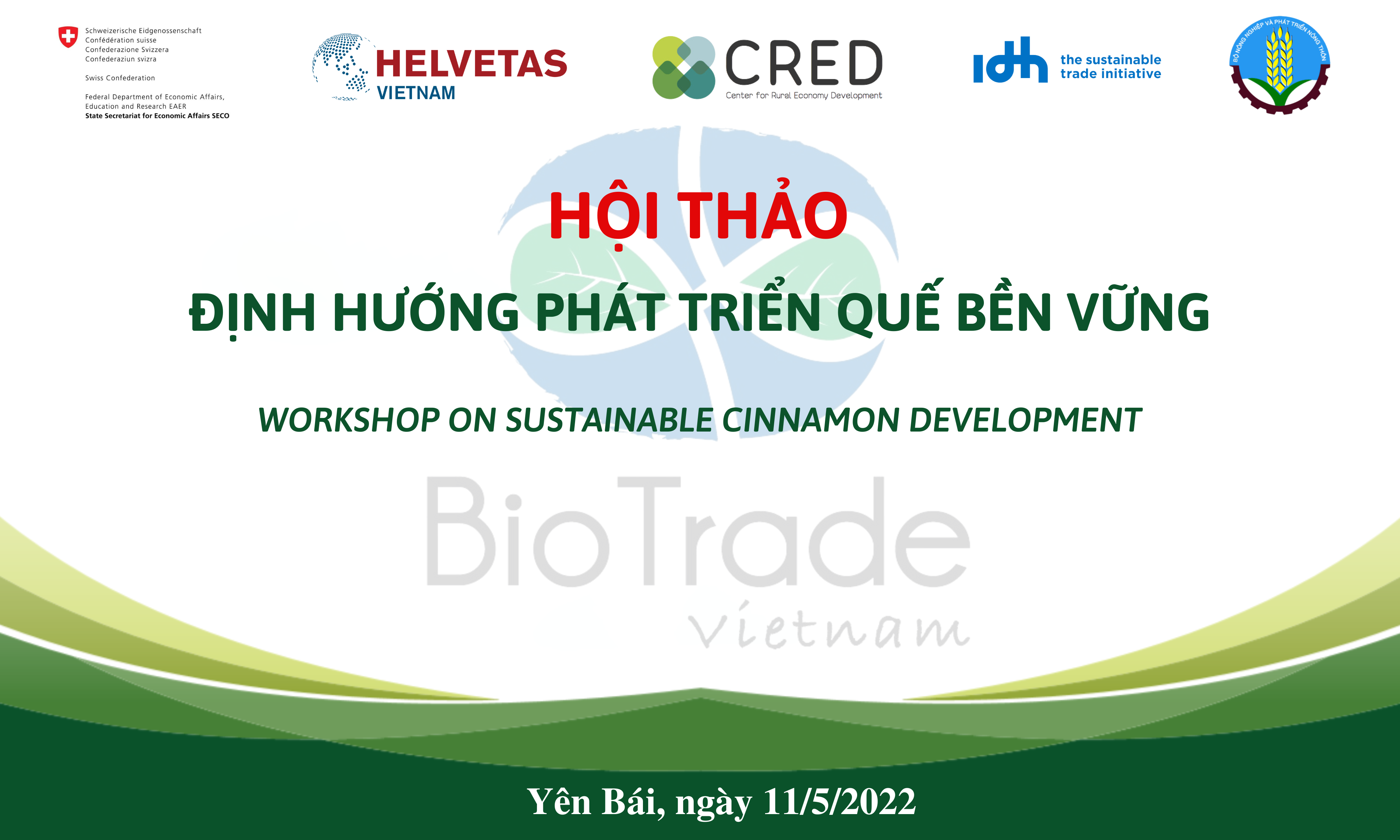 Hội Thảo Quế 4mx2m4