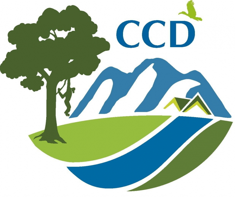 Ccd Logo