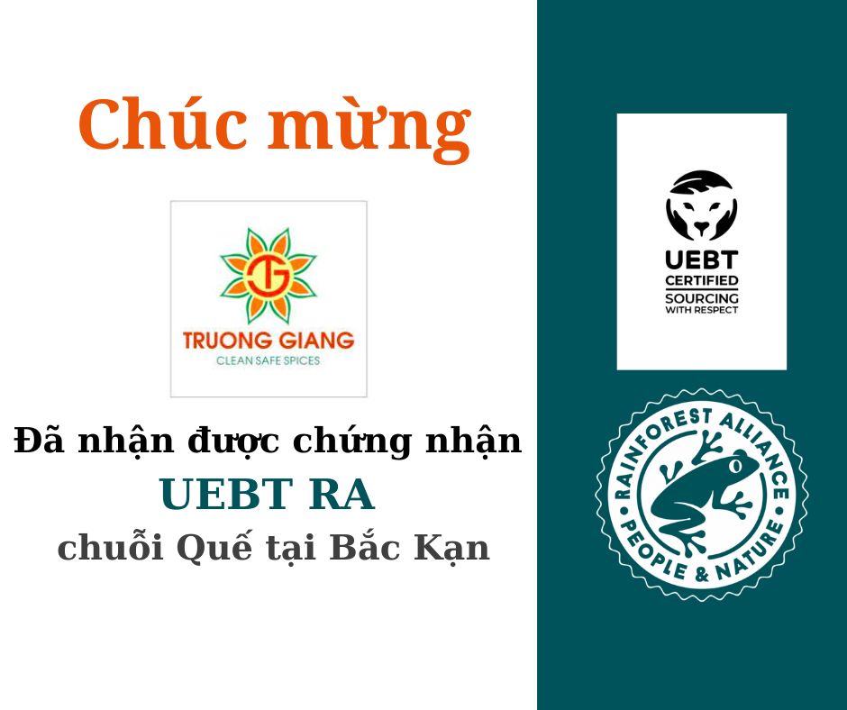 Khẳng định thêm vị thế và giá trị của các sản phẩm quế Việt Nam trên thị trường quốc tế