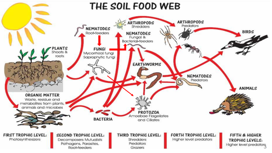 BioTrade - 