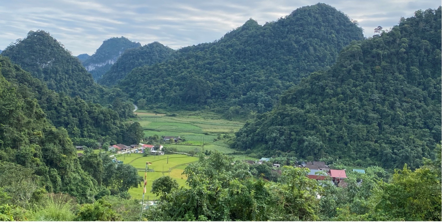 CÁC NGHIÊN CỨU ĐIỂN HÌNH CỦA BIOTRADE: Thúc đẩy cảnh quan đa dạng sinh học tại tỉnh Cao Bằng, miền Bắc Việt Nam